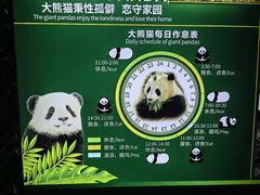 -海南热带野生动植物园