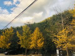 -水墨汀溪风景区