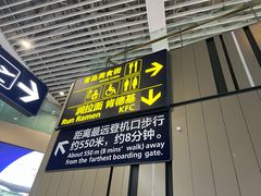 -青岛胶东国际机场