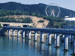 -星海湾跨海大桥