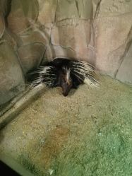 -酷嗒动物文化乐园(cutezoo西溪乐天城店)