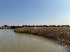 -盐城丹顶鹤湿地生态旅游区
