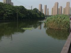 -前关湿地公园