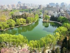 -团结湖公园