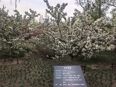 -元大都城垣遗址公园