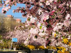 -元大都城垣遗址公园