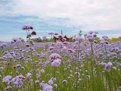 -杭州城北体育公园