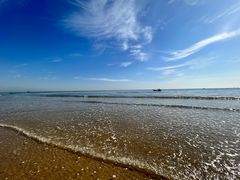 -日照海滨国家森林公园