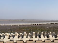 -南汇嘴观海公园