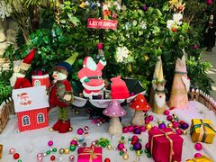 -南宫五洲植物乐园