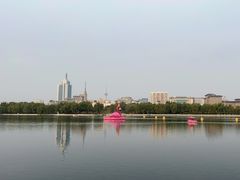 -莲花池公园