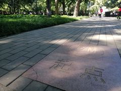 -玲珑塔公园