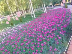 -长春公园(普阳街道)