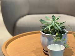 -EF教育成人英语(望京中心)