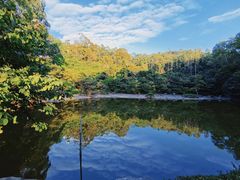 -水濂山森林公园