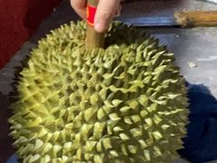 -双福水果批发市场