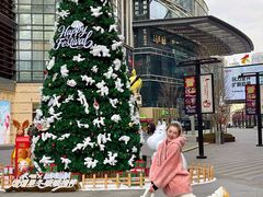 -大悦城(沈阳中街店)