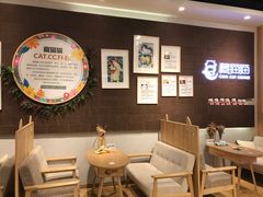 大堂-藏猫猫咖啡主题馆(中央大道店)