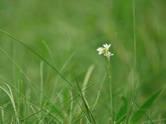 -济南方特东方神画