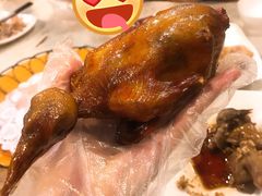 -百利鸽王(紫薇路店)