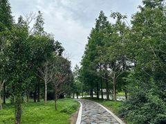 -同里国家湿地公园