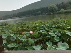 -云龙湖旅游景区