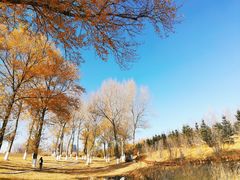 -长春世界雕塑园冰雪艺术天地