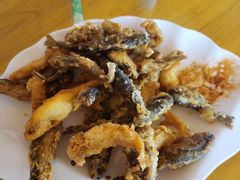 -途肴·老农饭庄(百里峡店)