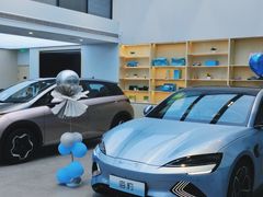 -比亚迪弘仁宝毅黎安路海洋网