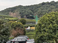 -听风阁农家私房菜茶楼(龙坞店)