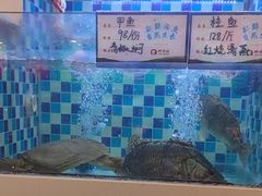 -野渡坡·极致湘菜·庭院餐厅(汉阳店)