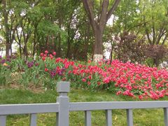 -玲珑塔公园