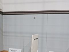-伟伟宠物医院·瑞派猫友好医院·猫科(光谷店)
