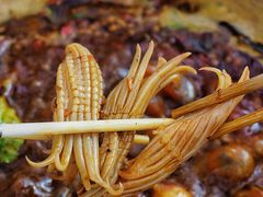 -悦见花开·花园里的火锅·露营·下午茶