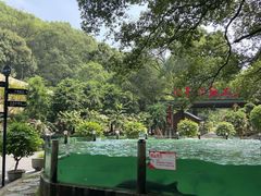 -天怡·鱼工厂(梅溪湖店)