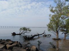 -宝安西湾红树林湿地公园