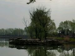 -太阳部落