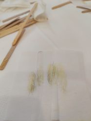 -Wax Brow蜜蜡脱毛美甲美睫眉吧