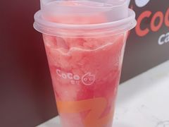 樱花粉荔-CoCo都可(北美店)