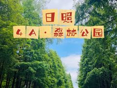 -日照海滨国家森林公园