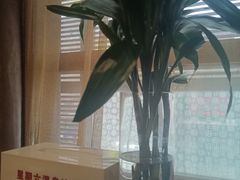 -果裹水汇(帅府店)