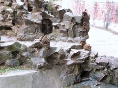 -杭州动物园