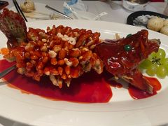 -松鹤楼·非遗·苏帮菜(融科店)