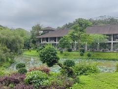 -河源御临门度假村温泉