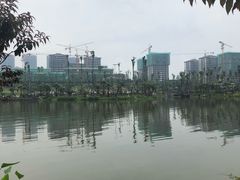 -枫香湖儿童公园