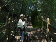 -凤栖山