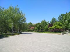 -望湖公园