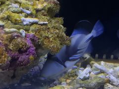 -沙沙哗啦海洋馆(华宇百花谷店)