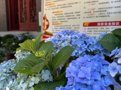 -哈尔滨极乐寺