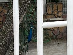 -金庭庄园酒店-停车场